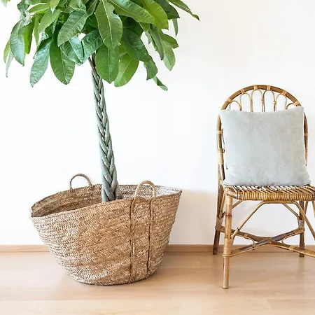 Apartament Cestaria Costa Nova Zewnętrze zdjęcie